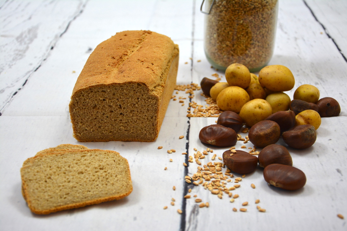 Brotbackmischung-Tika-Taka-6 Bio Brotbackmischung Tika Taka