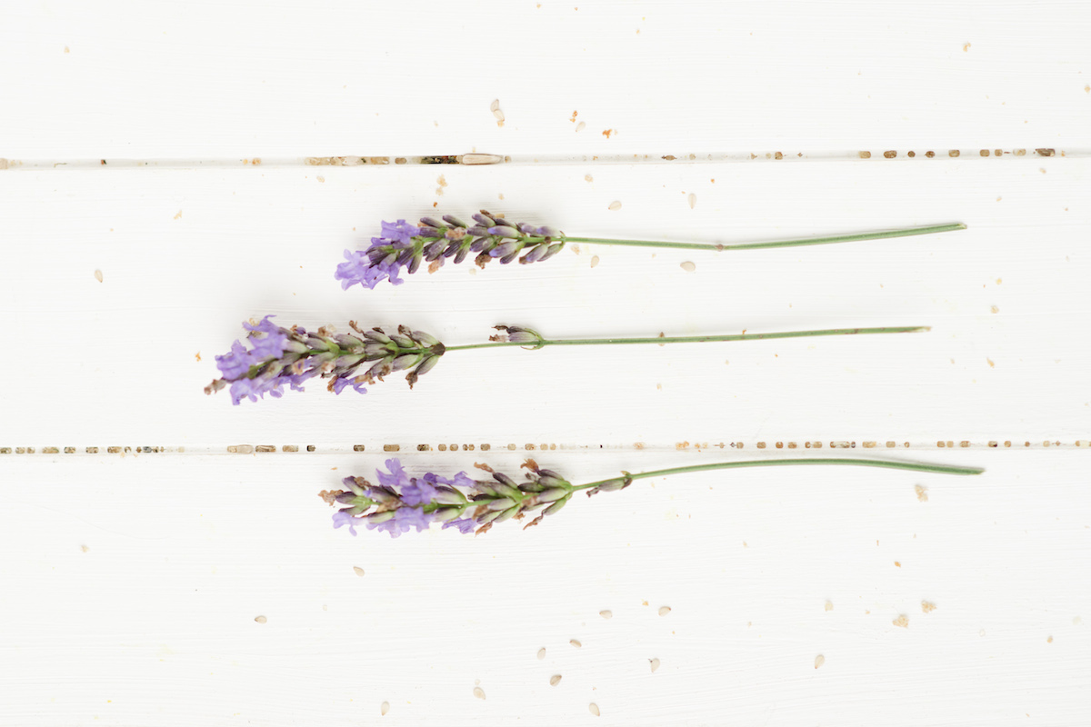 Brotbackmischung, Brot backen, Backmischung für Brot, Backmischung mit Lavendel