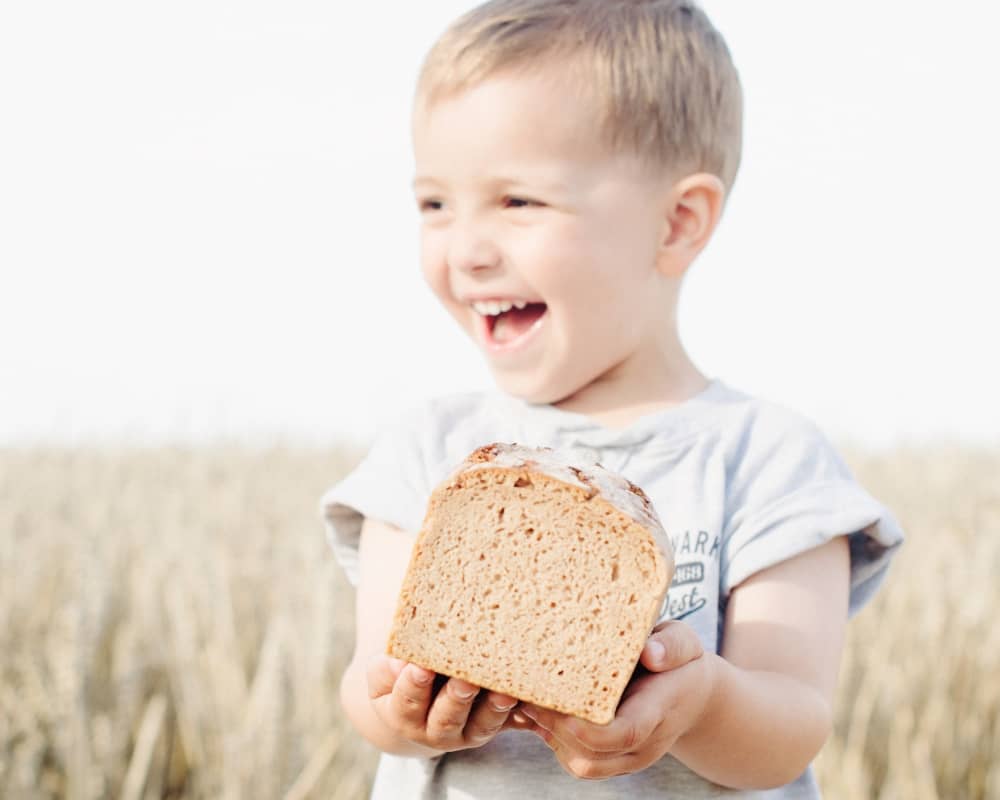 Gesundes Brot selbst gemacht mit dem Rundum-sorglos-Paket Gesundes Brot selbst gemacht mit dem Rundum-sorglos-Paket